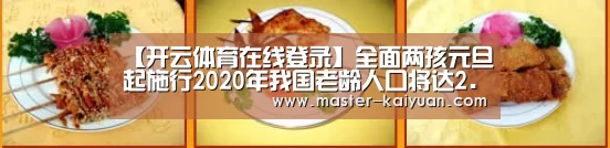 【开云体育在线登录】全面两孩元旦起施行2020年我国老龄人口将达2.43亿