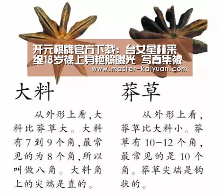 开元棋牌官方下载