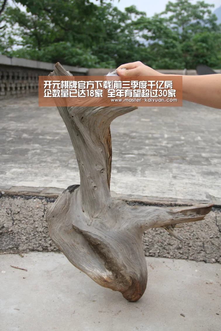 开元棋牌电脑版