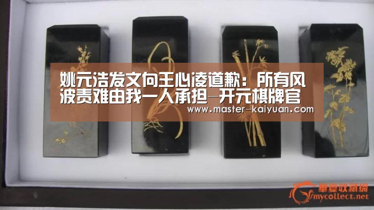 开云体育在线登录