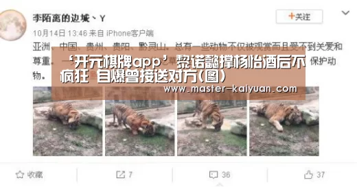 ‘开元棋牌app’黎诺懿撑杨怡酒后不疯狂 自爆曾接送对方(图)(图3) 开元棋牌电脑版